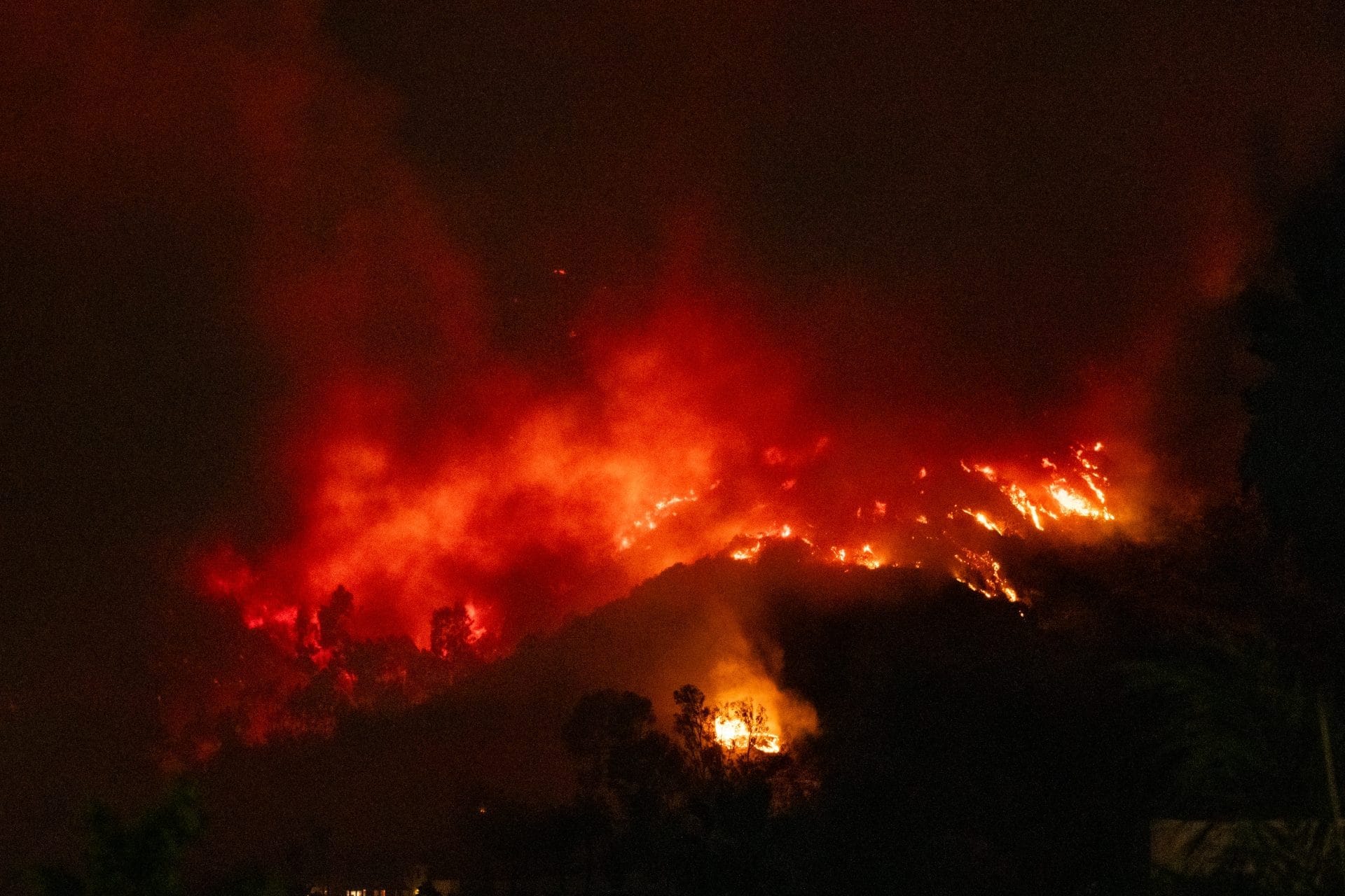 LAPD Arrests Suspect for Allegedly Intentionally Igniting the Large Kenneth Fire LAPD Arrests Suspect for Allegedly Intentionally Igniting the Large Kenneth Fire