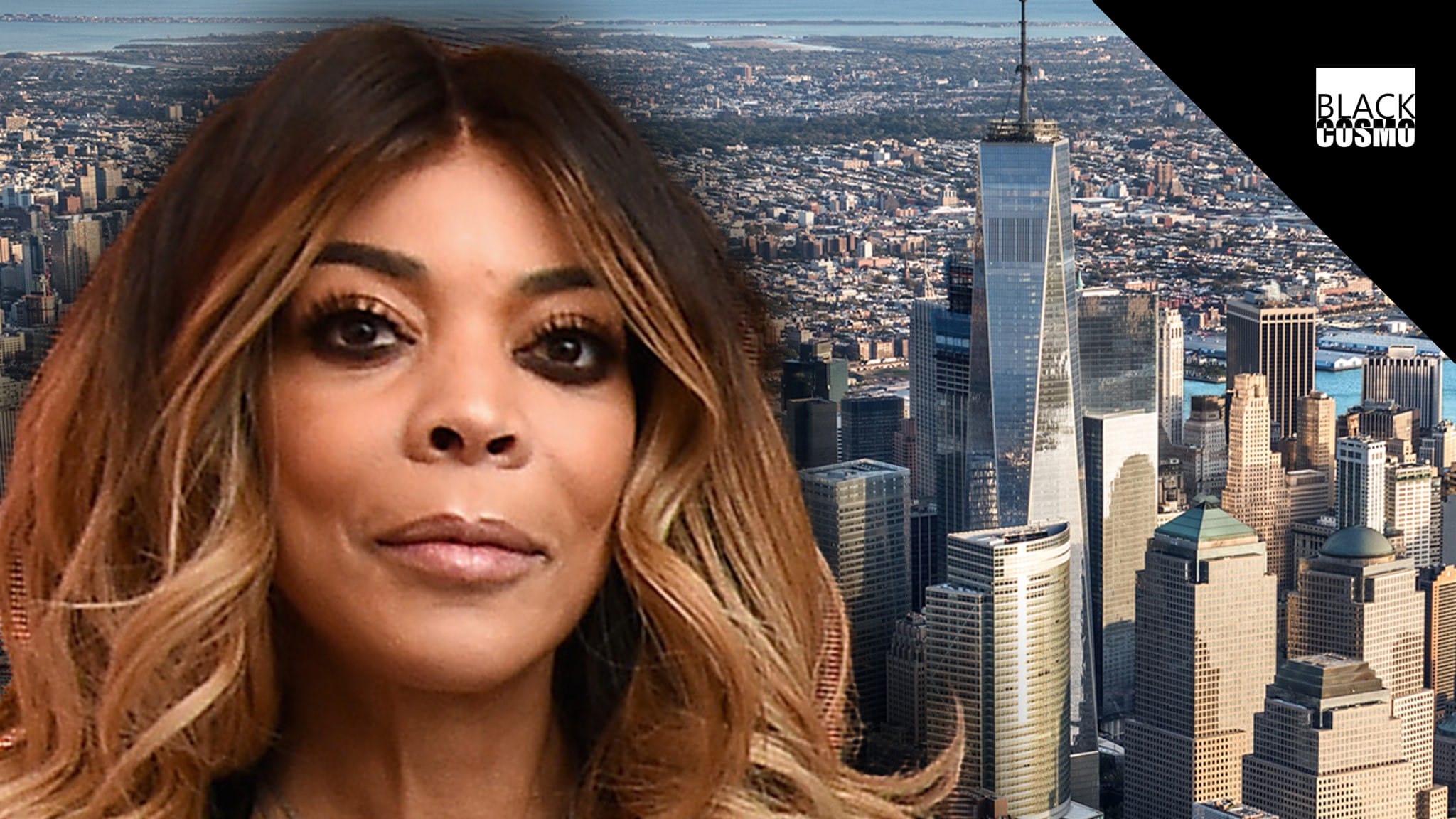 New York Senator Pushes for New Law Amid Wendy Williams Guardianship Controversy Wendy Williams Guardianship Controversy Spurs N.Y. Senator to Push for New Law