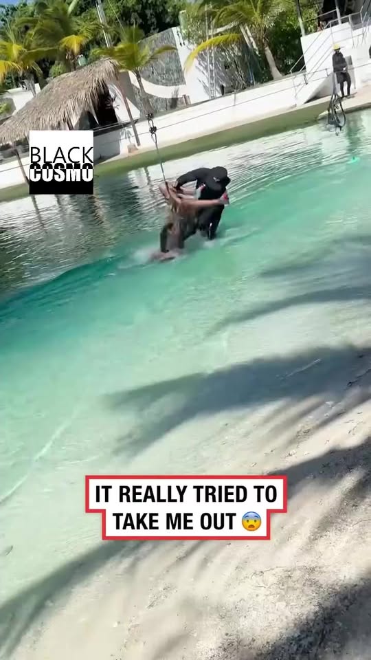 Safety on your Vacation travels: Zipline Fails She Got Stuck on a Zipline and Landed Head First in the Water
