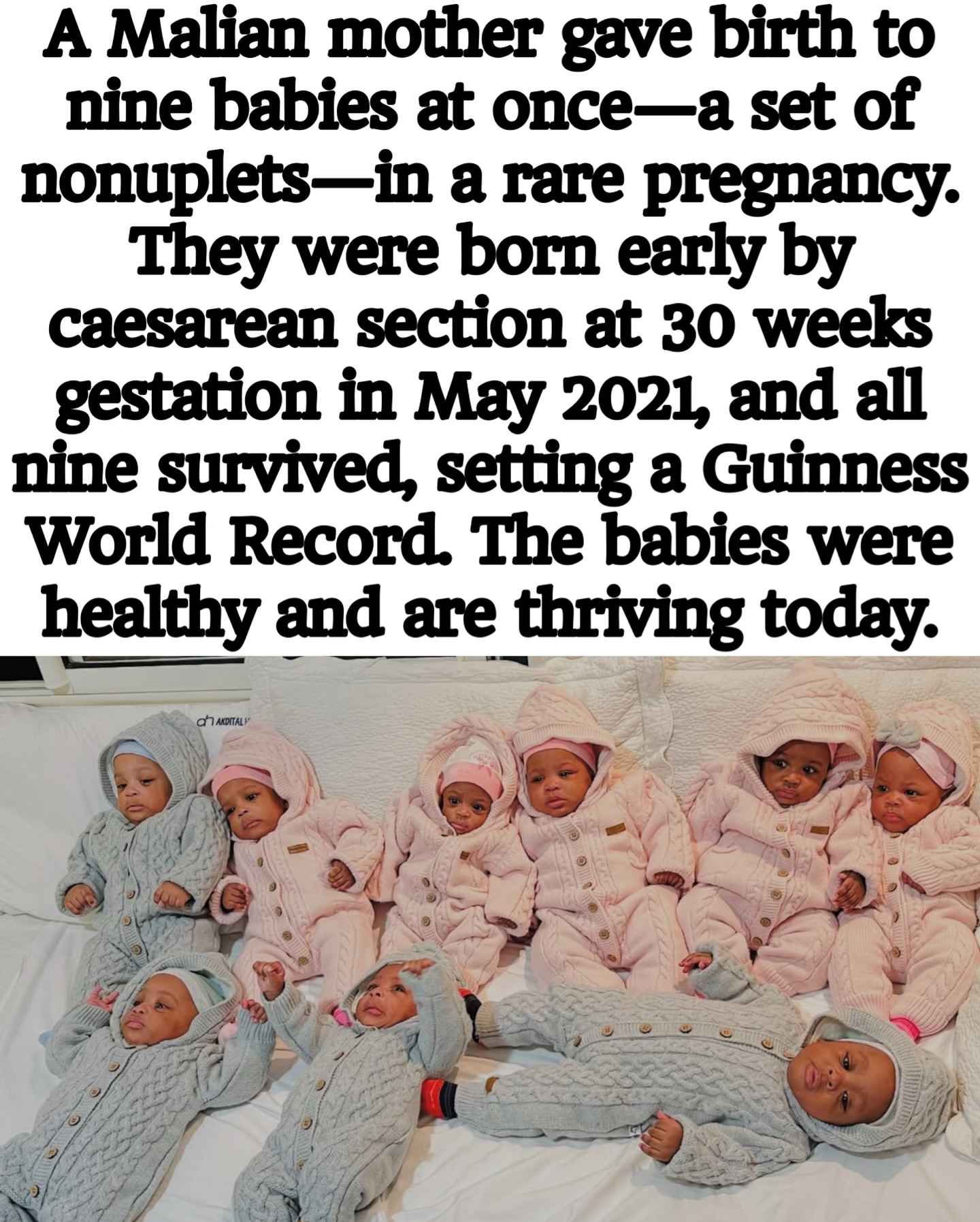 Malian Mother of Nonuplets Achieves Guinness World Record Malian Mother of Nonuplets Achieves Guinness World Record