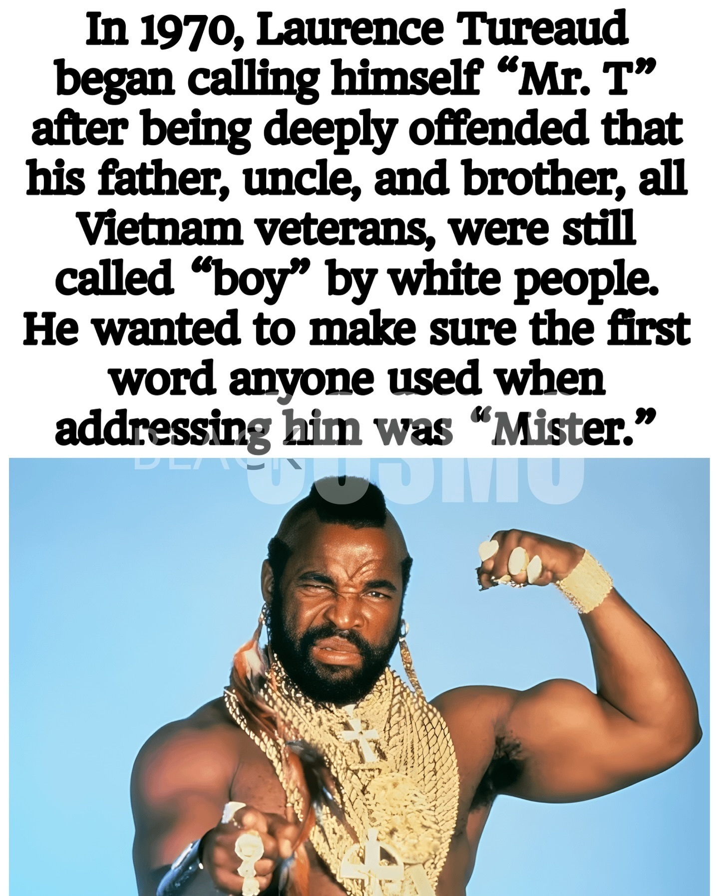 Mr. T: From Laurence Tureaud to a Symbol of Black Self-Respect Mr. T: From Laurence Tureaud to a Symbol of Black Self-Respect