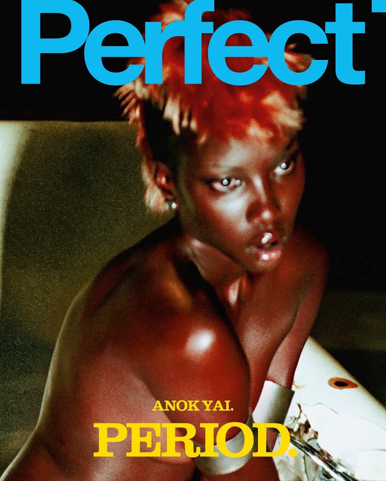 Anok Yai STUNS on The Perfect Magazine August Cover! Anok Yai STUNS on The Perfect Magazine August Cover!