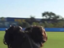 Cardi B running for her life practicing how to play football with Megan Thee Sta