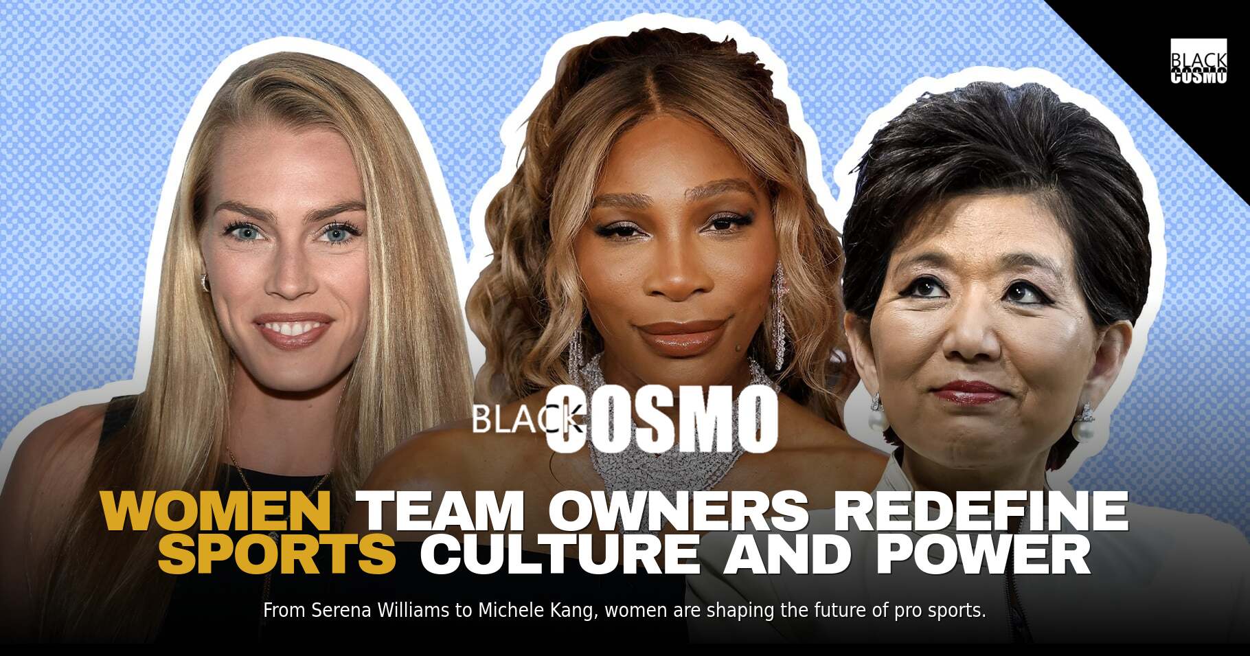 Women Dominate Ranks of Coolest Owners in Women’s Sports Women Dominate Ranks of Coolest Owners in Women’s Sports