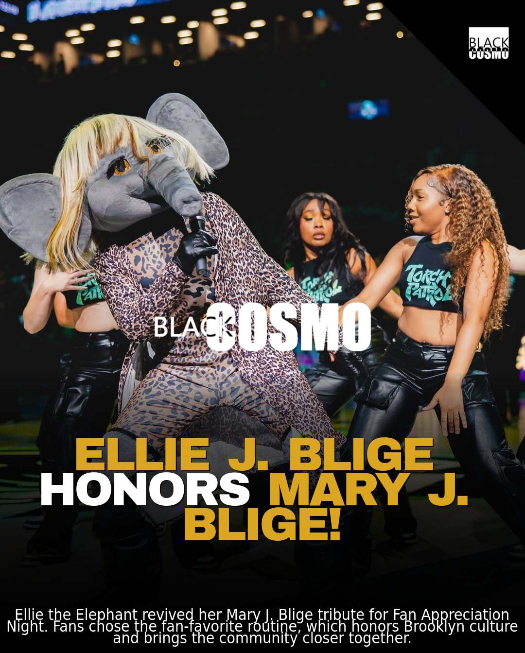 Ellie Elephant’s “Blige” Tribute Rocks Liberty Game Ellie Elephant’s “Blige” Tribute Rocks Liberty Game