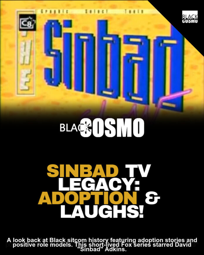 Sinbad’s Family Show: Adoption & Laughs! Sinbad’s Family Show: Adoption & Laughs!