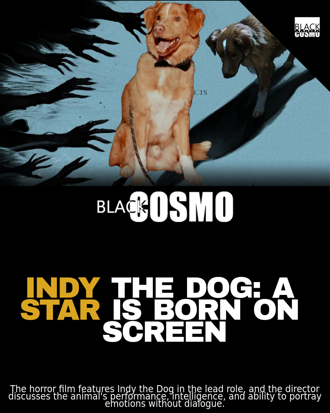 Indy the Dog Steals the Show in ‘Good Boy’ | BlkCosmo Blerds Indy the Dog Steals the Show in ‘Good Boy’ | BlkCosmo Blerds