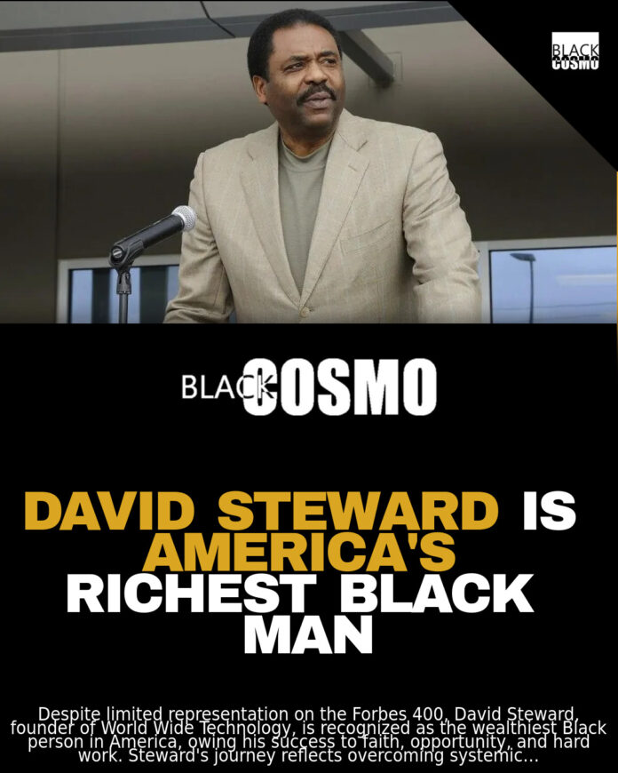 David Steward: Richest Black American | BlkCosmo Blerds David Steward: Richest Black American | BlkCosmo Blerds