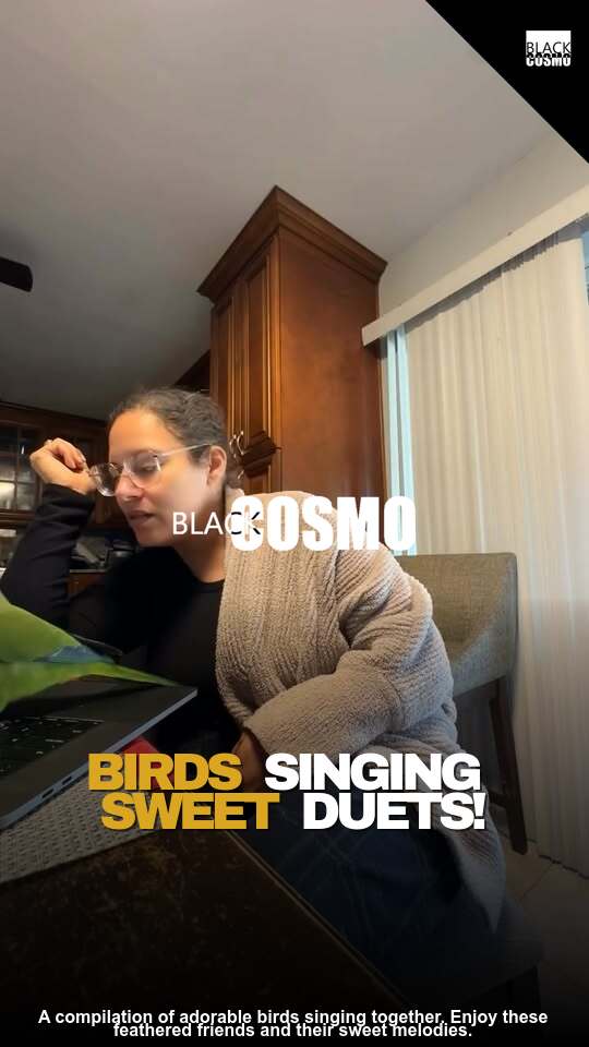 Cute Birds Sing Together Cute Birds Sing Together
