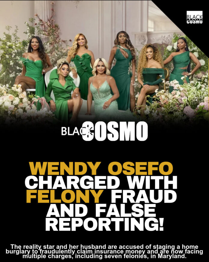 Wendy Osefo Arrested? Fraud Allegations & Details Wendy Osefo Arrested? Fraud Allegations & Details