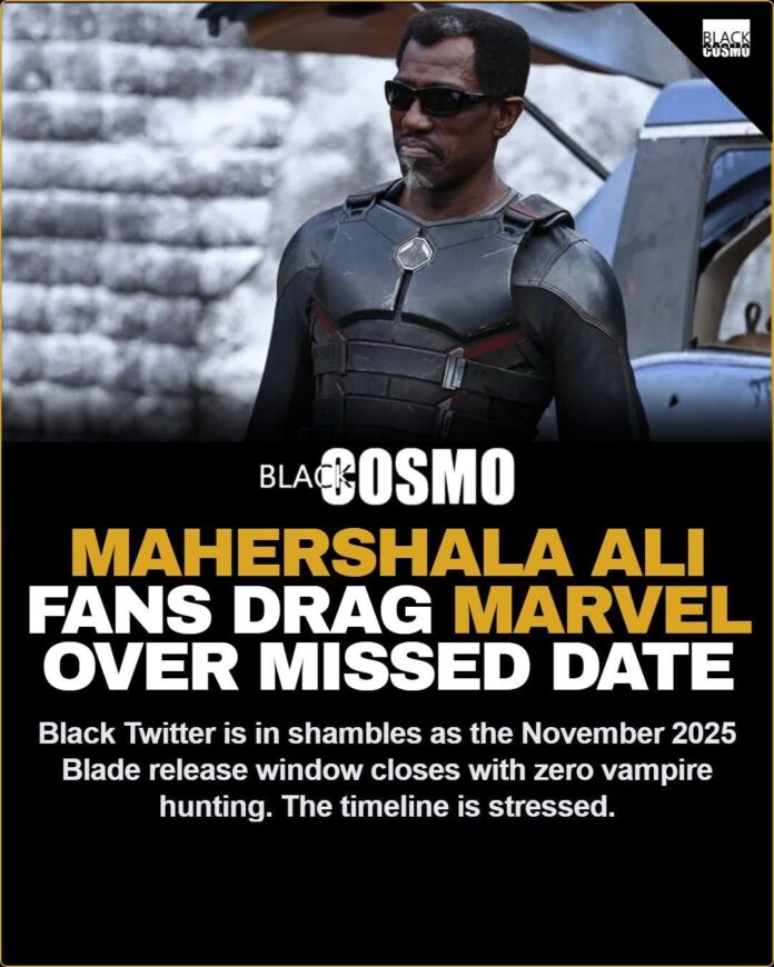 There Is Still Only One Blade Cosmopolitans, we have to talk! The month of November is almost over, which mea