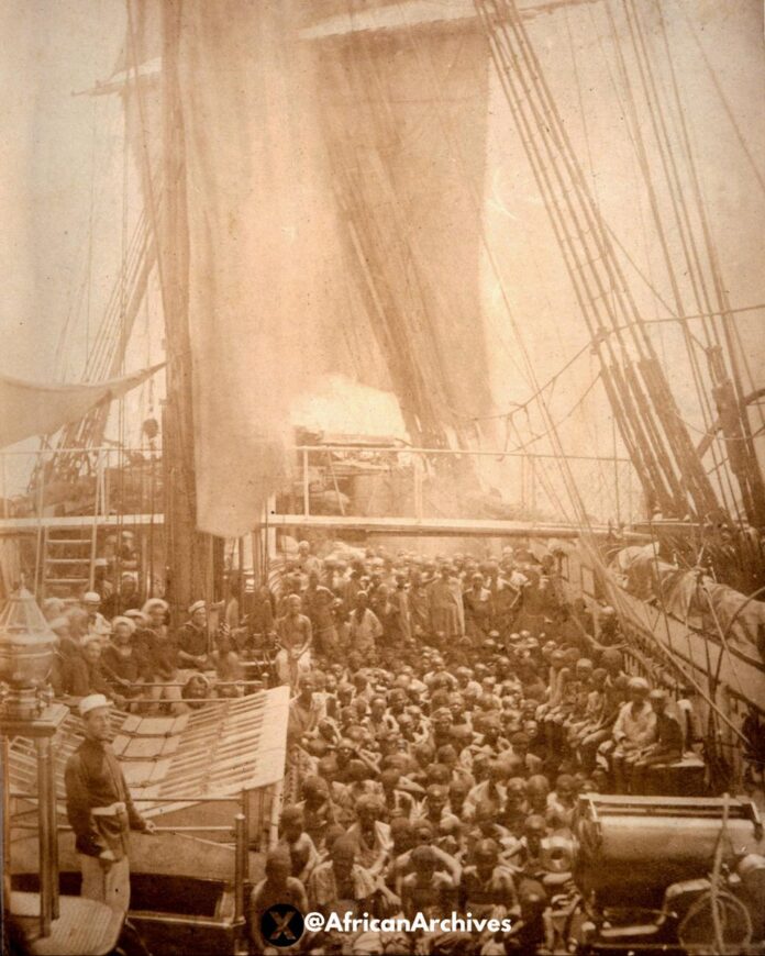 Slaves Weren’t “Brought” Here. History books say ‘slaves were brought to America’ but no one ever asked the fre