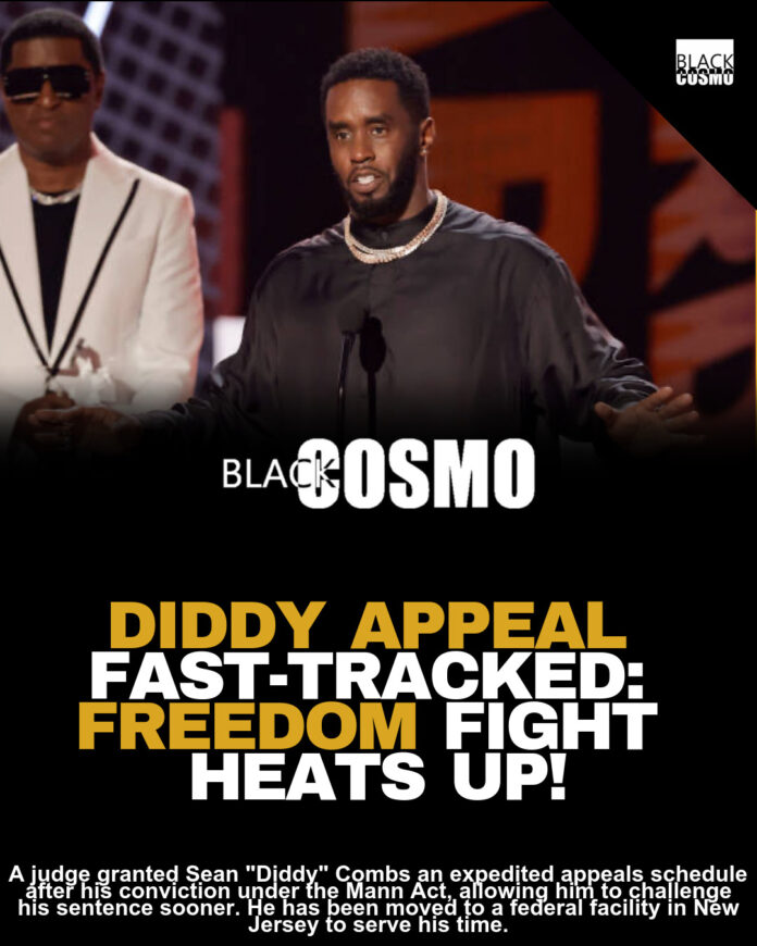 Diddy Wins Expedited Appeals Schedule in Case Diddy Wins Expedited Appeals Schedule in Case