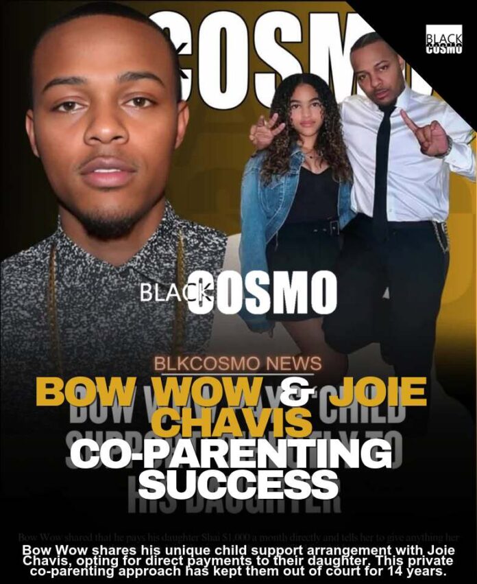 Bow Wow’s Co-Parenting Reality Bow Wow’s Co-Parenting Reality