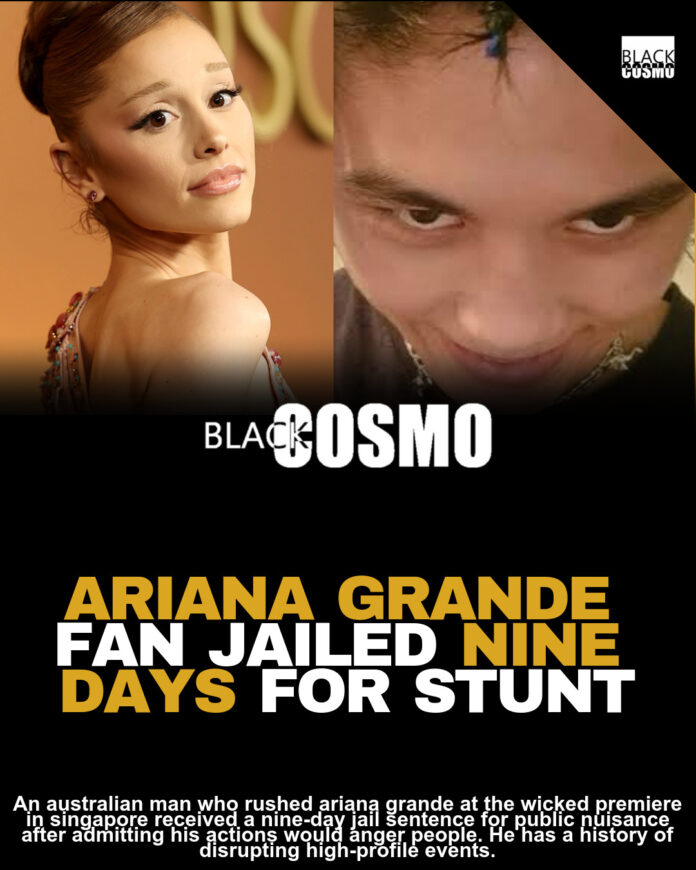 Ariana Grande Fan Gets 9 Days for Wicked Premiere Incident Ariana Grande Fan Gets 9 Days for Wicked Premiere Incident
