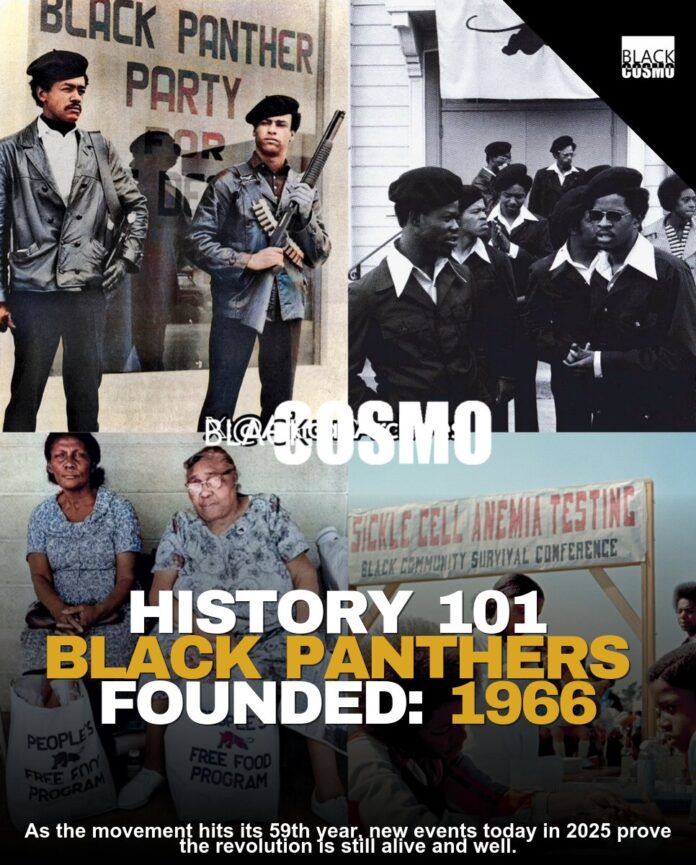 Black Panthers Founded: 1966 Black Panthers Founded: 1966