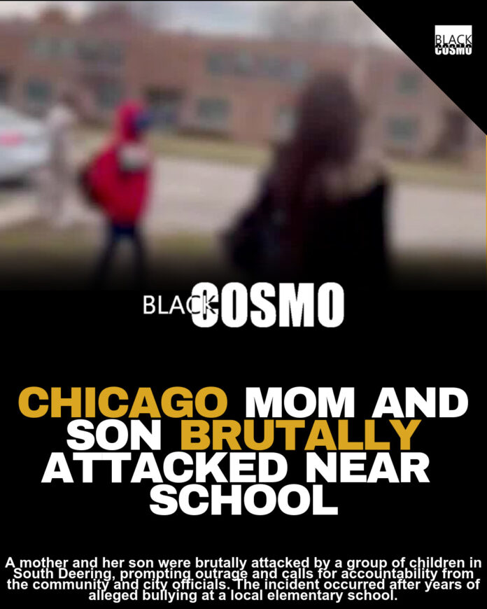 Chicago Mother & Son Attacked: Community Shocked Chicago Mother & Son Attacked: Community Shocked