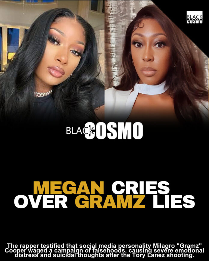 Megan Thee Stallion Gives Tearful Testimony In Defamation Trial Against Milagro Gramz: ‘I Genuinely Didn’t Care If I Lived Or Died’ Megan Thee Stallion Gives Tearful Testimony In Defamation Trial Against Milagro Gramz: ‘I Genuinely Didn’t Care If I Lived Or Died’