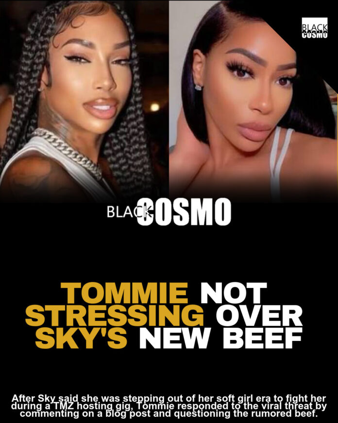 Tommie Responds to Sky’s Call Out, Shuts Down Rumors Tommie Responds to Sky’s Call Out, Shuts Down Rumors