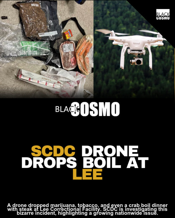 Drone Drops Crab Boil, Drugs, and Cigarettes at South Carolina Prison Drone Drops Crab Boil, Drugs, and Cigarettes at South Carolina Prison