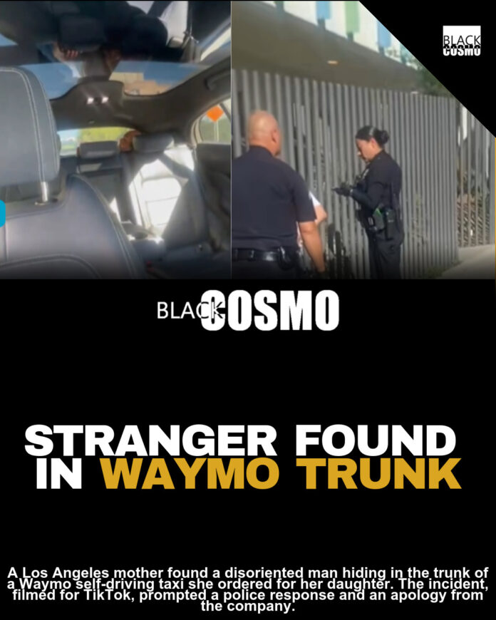 Woman Finds Stranger Hiding In Trunk Of Self-Driving Taxi Ordered For Her Daughter Woman Finds Stranger Hiding In Trunk Of Self-Driving Taxi Ordered For Her Daughter