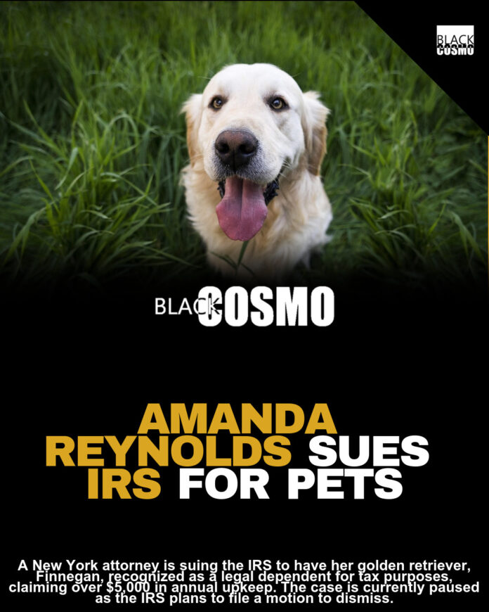 New York Woman Sues IRS to Classify Her Dog as a Legal Dependent New York Woman Sues IRS to Classify Her Dog as a Legal Dependent