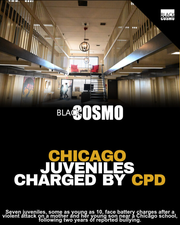 7 Juveniles Charged in Brutal Attack on Mother and Son 7 Juveniles Charged in Brutal Attack on Mother and Son