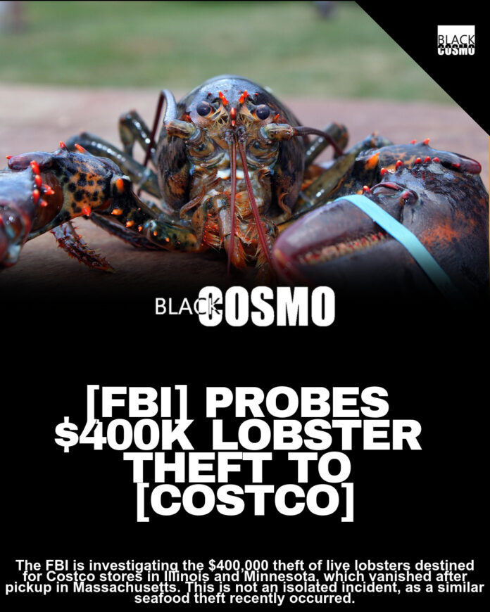 FBI Investigating $400K Lobster Heist Bound for Costco Stores in Illinois and Minnesota FBI Investigating $400K Lobster Heist Bound for Costco Stores in Illinois and Minnesota
