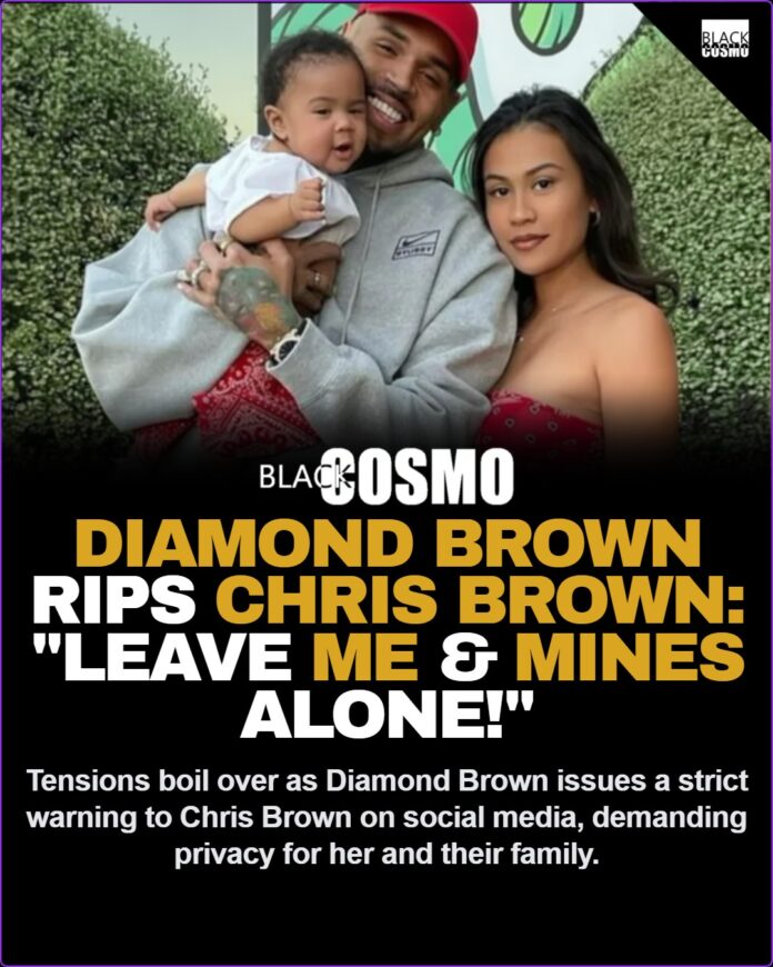 Diamond Brown Blasts Chris Brown: “Leave Me and Mines Alone!” – Full Stor 👀🔥 Diamond Brown Blasts Chris Brown: “Leave Me and Mines Alone!”