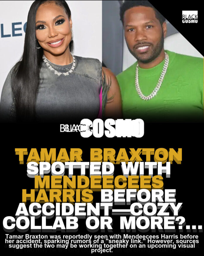 Tamar Braxton & Mendeecees Harris: Business or Romance? Tamar Braxton & Mendeecees Harris: Business or Romance?