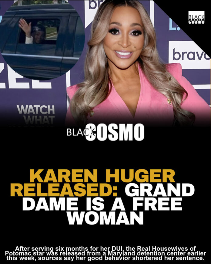 Karen Huger DUI: RHOP Star Arrested After Crash Karen Huger DUI: RHOP Star Arrested After Crash