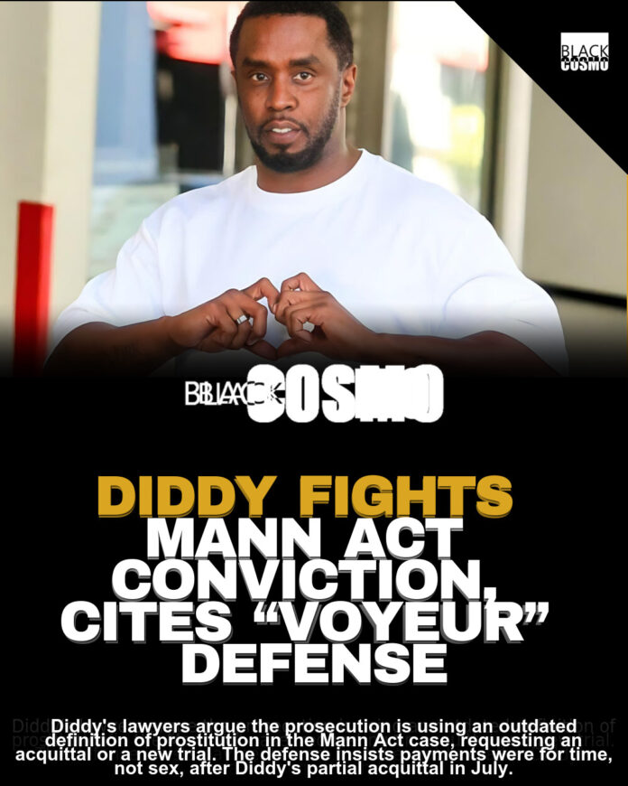 Diddy Disputes “Prostitution” Definition in Mann Act Case Diddy Disputes “Prostitution” Definition in Mann Act Case