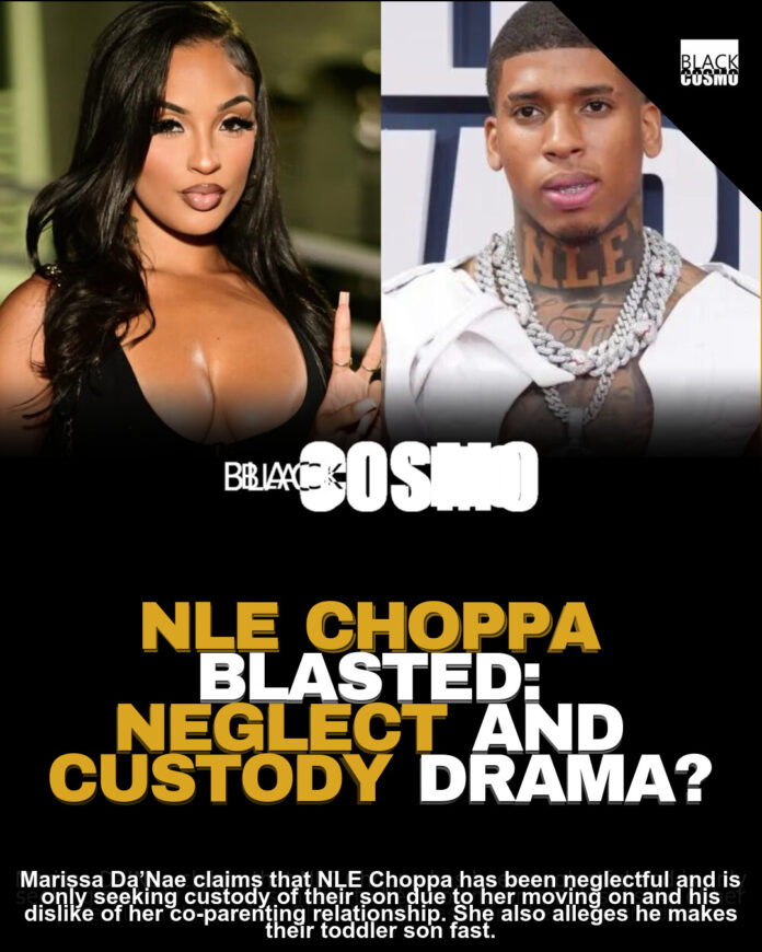 NLE Choppa Custody Battle: Ex Accuses Rapper of Starving Son NLE Choppa Custody Battle: Ex Accuses Rapper of Starving Son