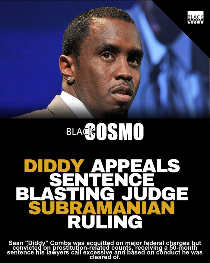 Diddy Appeals Sentence in Prostitution Case Diddy Appeals Sentence in Prostitution Case