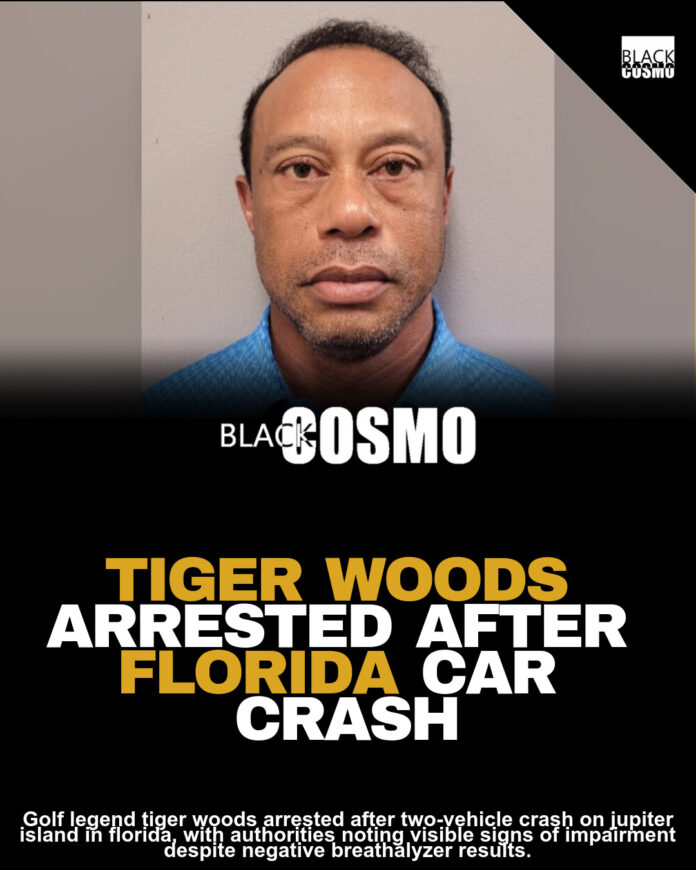 Tiger Woods DUI Arrest After Florida SUV Crash Tiger Woods DUI Arrest After Florida SUV Crash