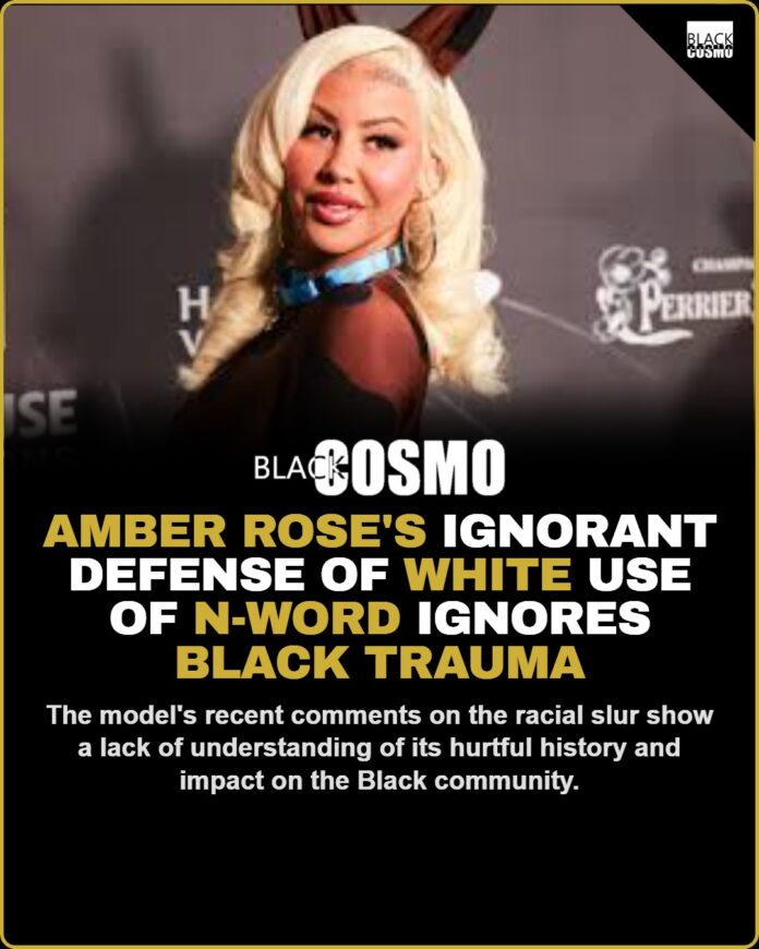 Amber Rose’s Ignorant Defense of N-Word Use Amber Rose's Ignorant Defense of N-Word Use