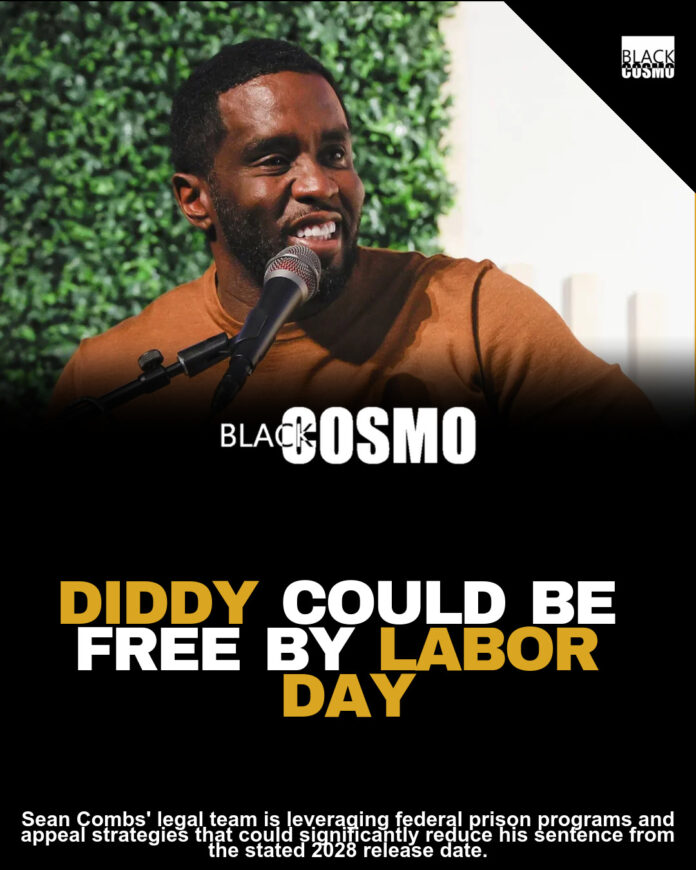 Diddy’s Coming Home: Released This Year Confirmed Diddy’s Coming Home: Released This Year Confirmed