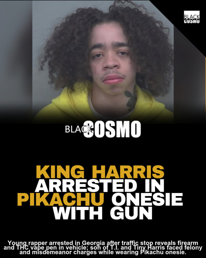 King Harris Arrested in Pikachu Onesie Traffic Stop King Harris Arrested in Pikachu Onesie Traffic Stop