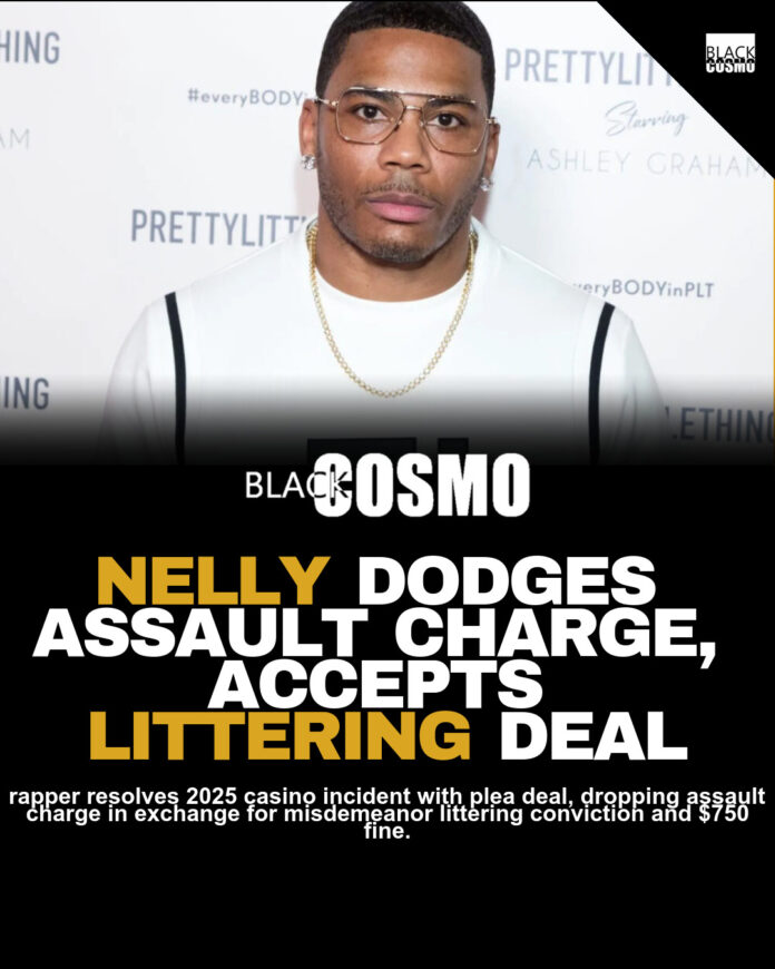 Nelly Beats Assault Case With $750 Fine Nelly Beats Assault Case With $750 Fine