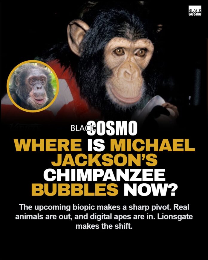 Where Is Michael Jackson’s Chimpanzee Bubbles Now? Visual representation of the upcoming Michael Jackson biopic replacing live chimpanzees with CGI for Bubbles.