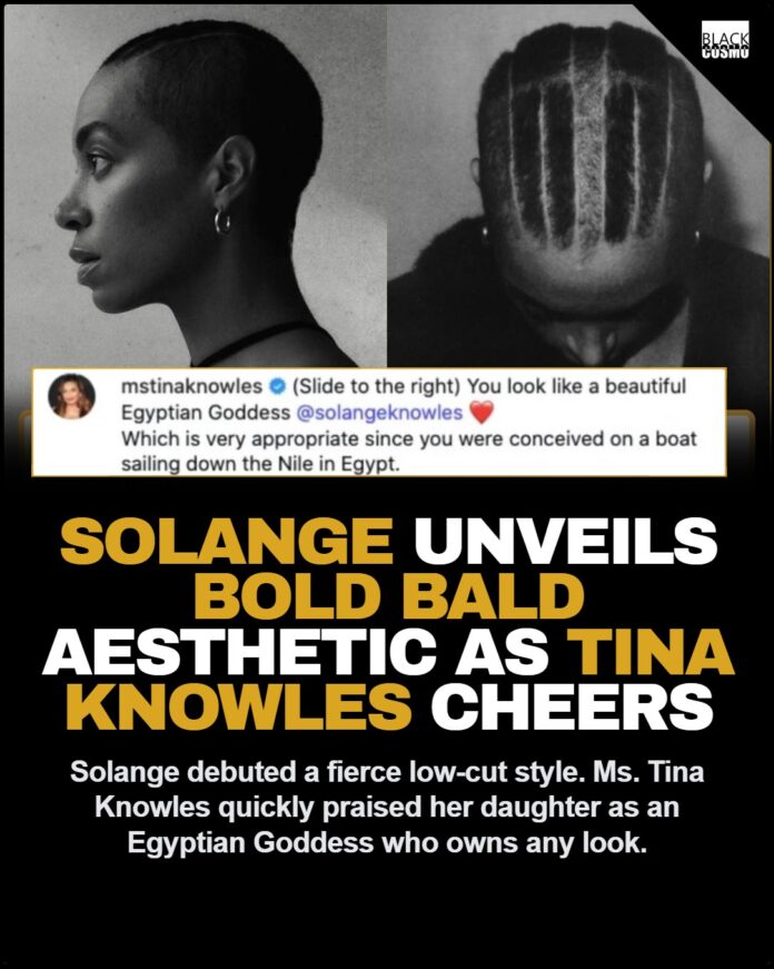 Solange Debuts New Bald Aesthetic as Tina Knowles Offers Praise Solange showcasing her fierce new low-cut bald aesthetic.