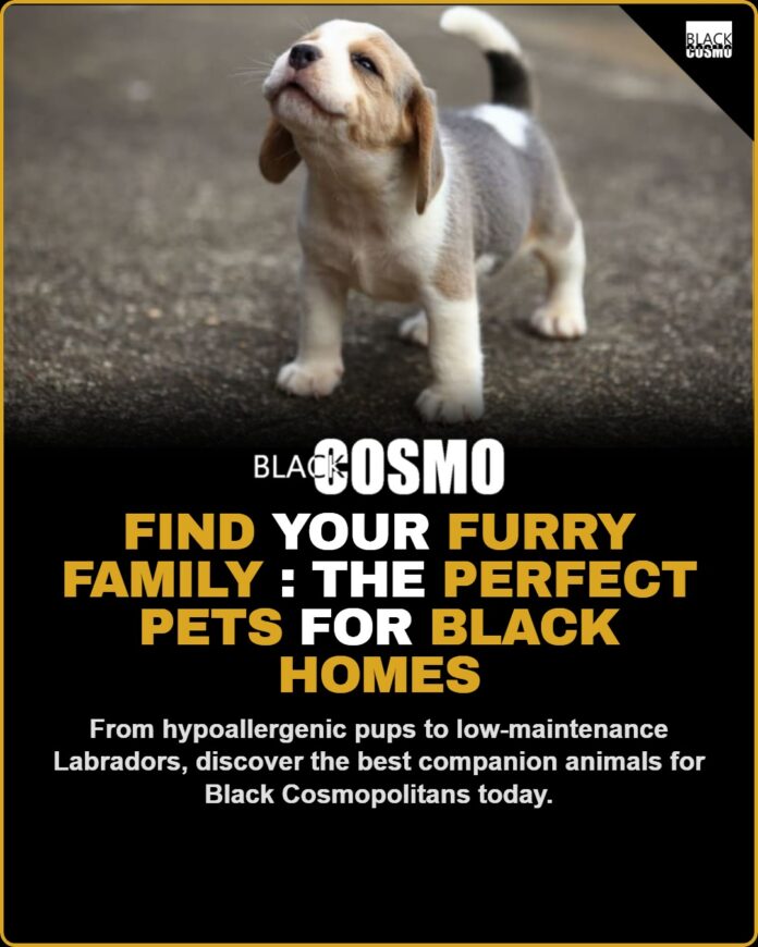 Finding Your Furry Fam: The Perfect Pets for Black Families Today Finding the Perfect Pets for Black Families