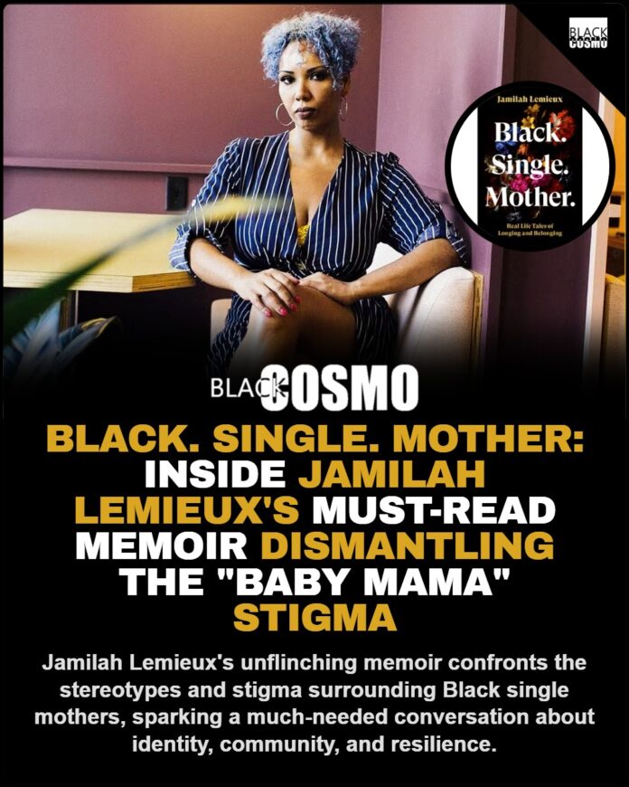 Black Single Motherhood Memoir Challenges Baby Mama Stigma Image of Jamilah Lemieux's book cover