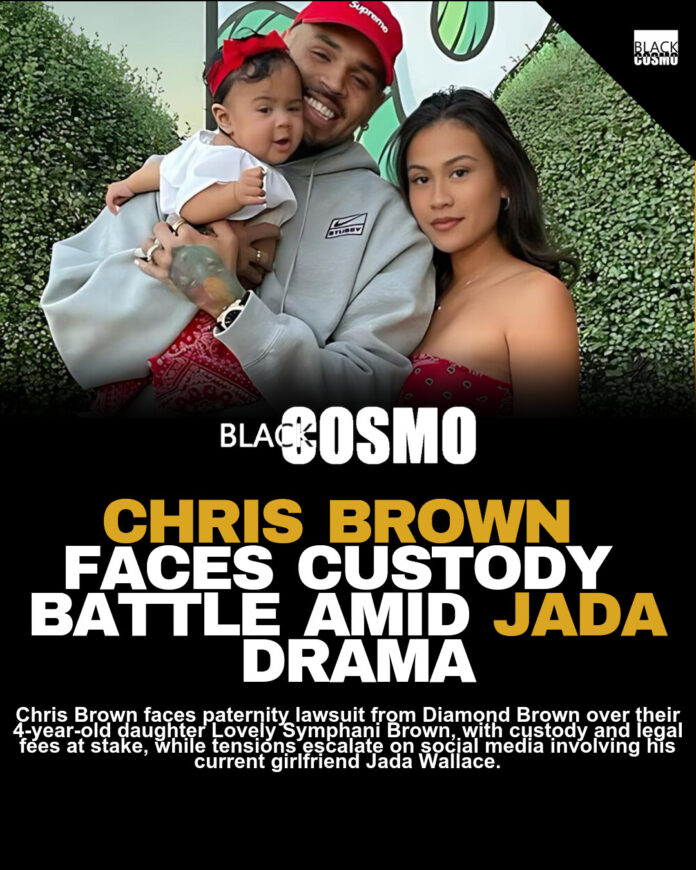 Chris Brown Faces Paternity Lawsuit Before Baby Arrival Chris Brown Faces Paternity Lawsuit Before Baby Arrival