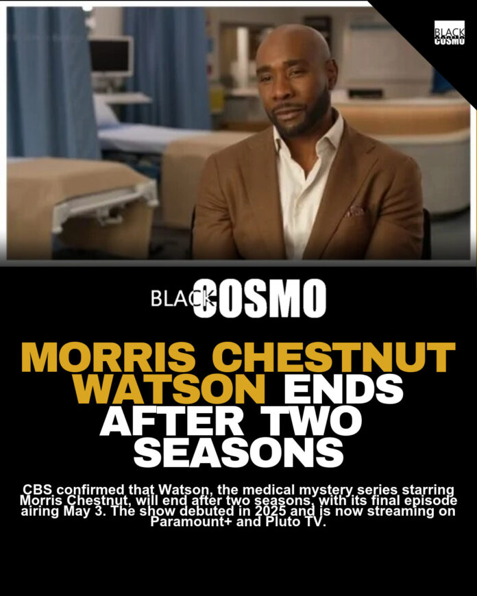 Why CBS Canceled Watson After One Season Why CBS Canceled Watson After One Season