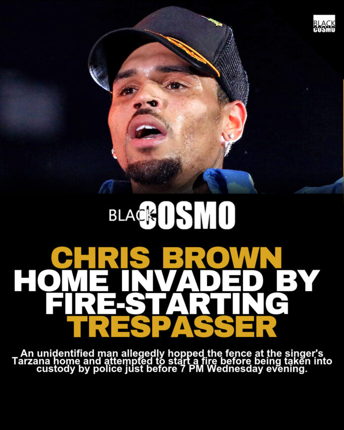 Man Arrested for Attempted Arson at Chris Brown’s Residence Man Arrested for Attempted Arson at Chris Brown’s Residence