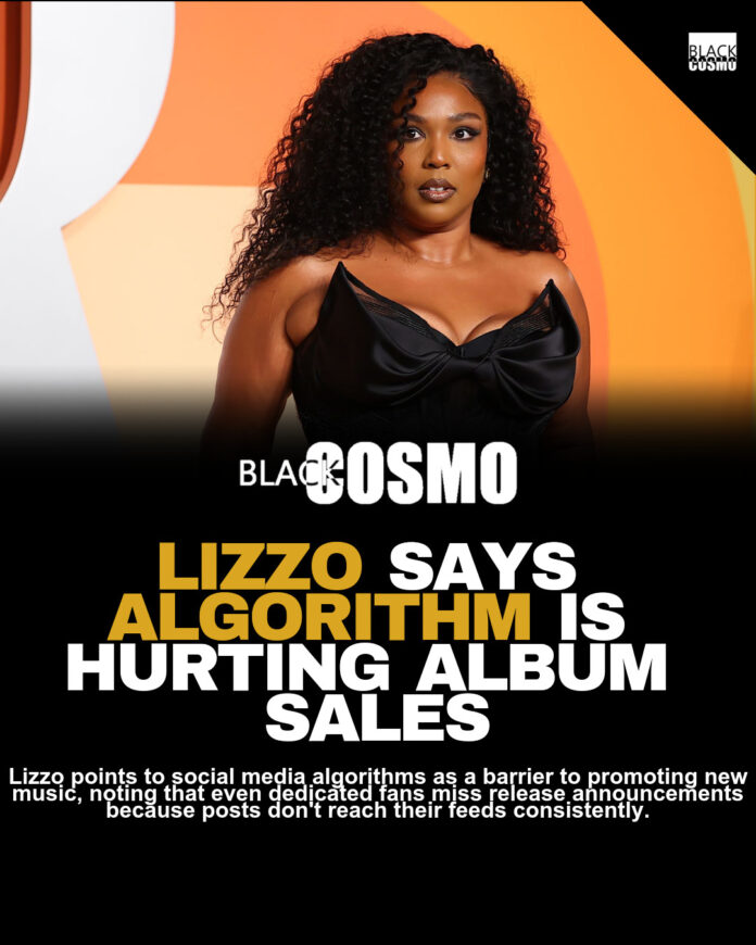 Lizzo: Promoting ‘B*tch’ Album Is Harder Than Ever Lizzo: Promoting ‘B*tch’ Album Is Harder Than Ever