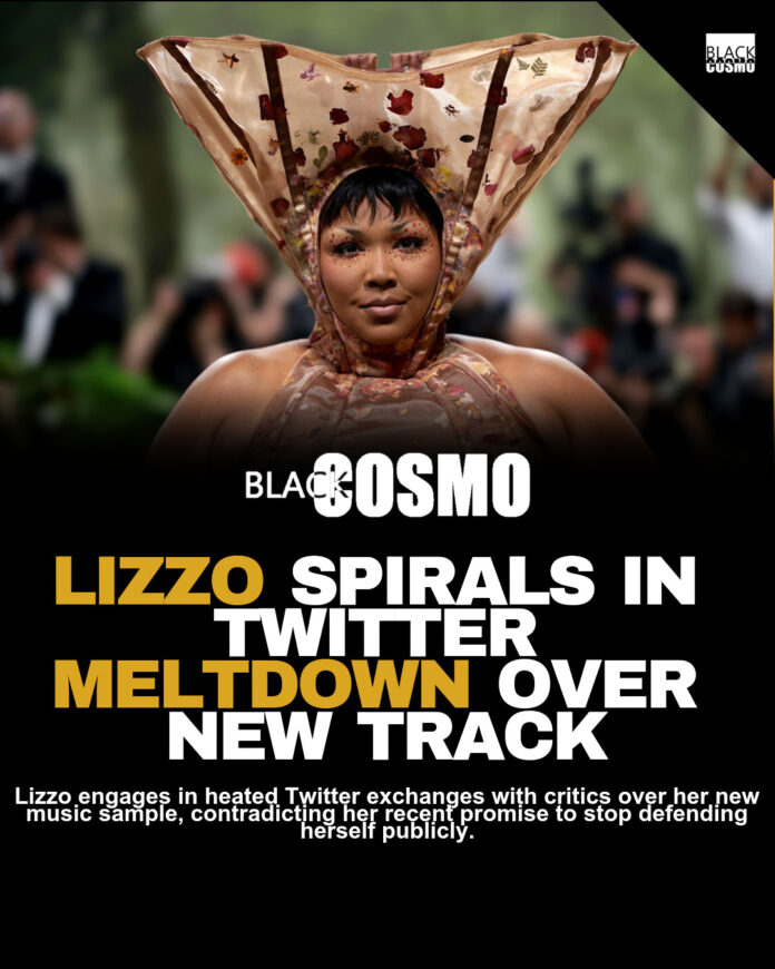 Lizzo Melts Down on Twitter Fighting Trolls Lizzo Melts Down on Twitter Fighting Trolls