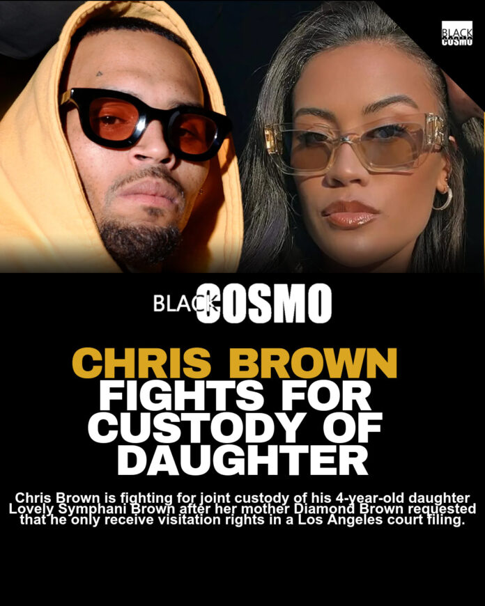 Chris Brown Responds to Baby Mother Diamond’s Custody Bid Chris Brown Responds to Baby Mother Diamond’s Custody Bid