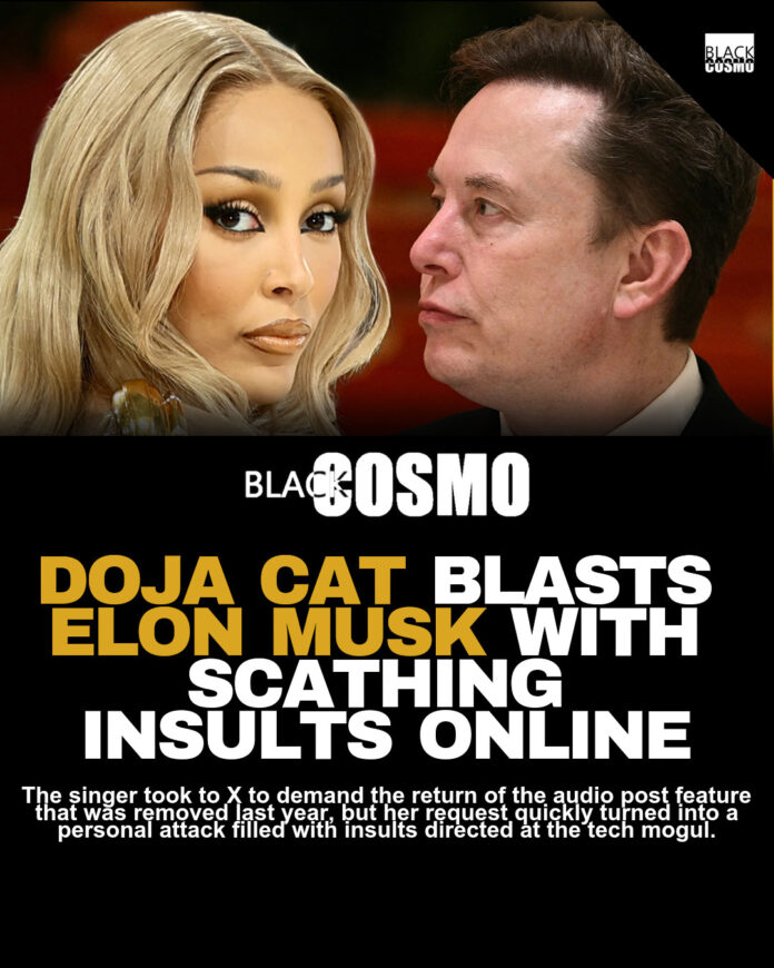 Doja Cat Insults Elon Musk in X Post Doja Cat Insults Elon Musk in X Post